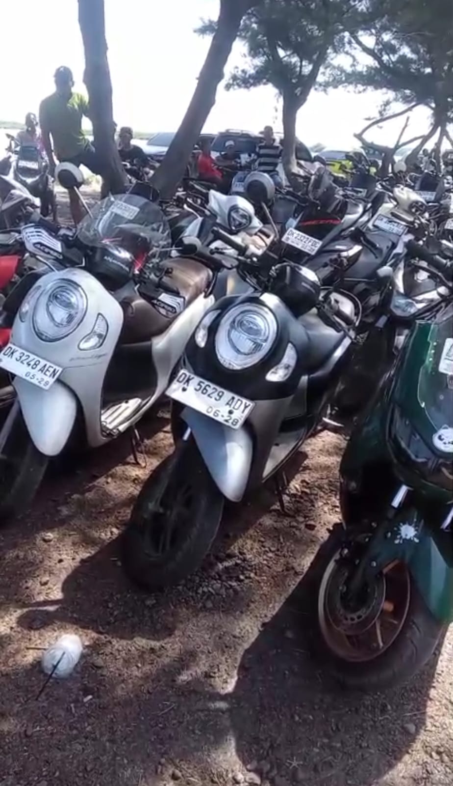 Dugaan pungli parkir liar pelabuhan Verry Raas berpolemik ...
