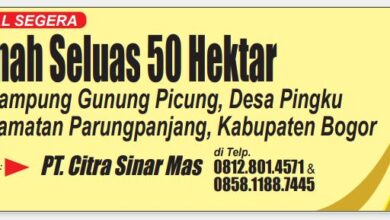 Siapa cepat dia. dapat
